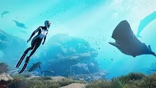 Exploring the Depths in Beyond Blue: Amazing Underwater Moments!