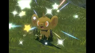 Random Shiny Shinx Live Reaction! Pokemon Legends Arceus Shiny Dex