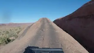 Lions Back Moab