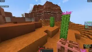 Minecraft Random Item Challenge vs Pro REMATCH