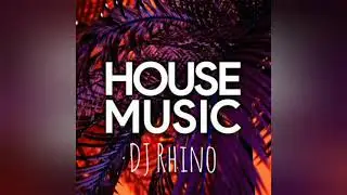 House Music DJ Rhino
