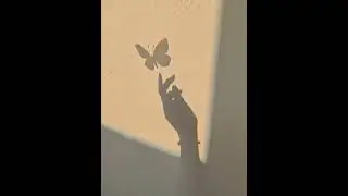 Whatsapp dp for girls shadow 🥰🥰