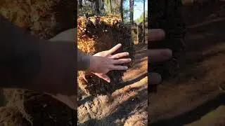 Axe target setup #axethrowing