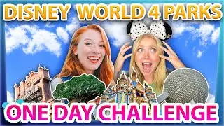 Disney World 4 PARKS ONE DAY Challenge