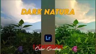 Dark Nature | Lightroom Mobile tutorial | Free Presets @itx_badansing6966 