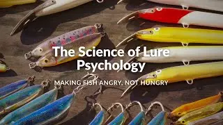 The Science of Lure Psychology &mdash; Making Fish Angry, Not Hungry