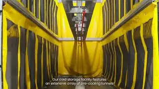 GoChill - Our ultra-modern and purpose-built cold storage facility close to the port of Durban.