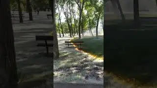 This poplar fluff fire is mesmerising