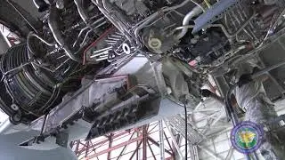172d Air Wing C-17 Home Station Checks (Nugget)