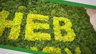 Escape to Nature: Beautiful Moss Wall for Your Space!
