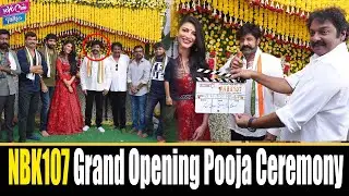#NBK 107 Pooja Ceremony | Nandamuri Balakrishna 107 Movie Launch | Shruti Haasan | YOYO Cine Talkies