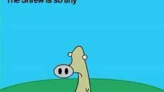 The Pygmy Shrew