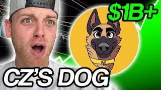 CZ&rsquo;s Dog Coin ($BROCCOLI) | The Next Big Meme Coin? | Massive Hype Building!