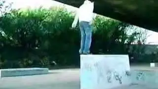 org backflip at bridges