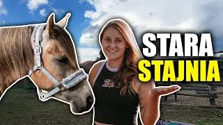 NOWY KOŃ JEST NIEGRZECZNY?! / VLOG ZE STAREJ STAJNI 