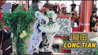 龍田武術龍獅團 Long Tian Kulai｜古来洪仙杯 2026 Kulai Traditional Lion Dance Championship