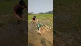 Traditional Net Fishing in Village River | Amazing Rural Life #fishing