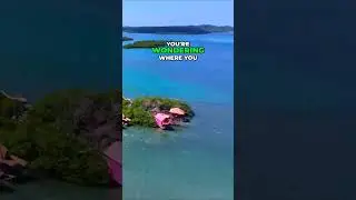 Crazy Monkey Adventures: Unveiling the Strategy of Island Monkeys