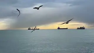 MALAGA LIVE (February 9, 2026)