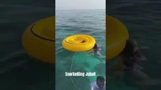 Snorkeling Trip to Juraid Island Jubail