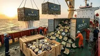 Recovering $500,000,000 in Rolex Watches (4K)