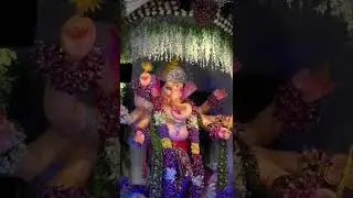 srgy inamadugu