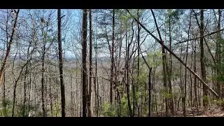Lots And Land at 1698 Shade Tree Drive, Talking Rock, GA 30175 - For sale