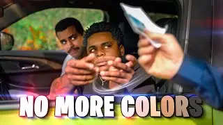 No More Colors | David Lopez