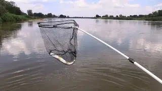 Sommerhechte an der Oder am Fischereihof Schneider in Küstrin
