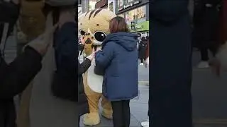 JHKTV]shinchon famous cat 신촌명물고양이#shorts