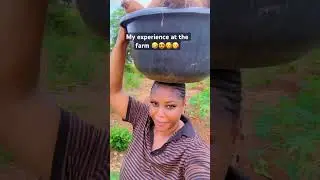 My experience at the farm . We arrested Yam . #food #farming #farmdrop #africanfarming #goviral