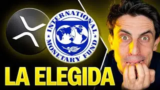 🚨 EL FMI ELIGE A XRP