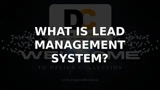 What is lead management system?