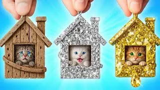 Я Спасла Бездомных Животных | Смешные Моменты от Multi DO Smile