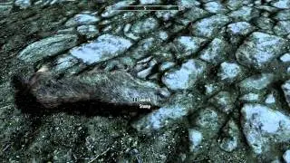 Nuri meets the people of Riverwood