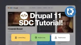 Services and Portfolio  Component in Drupal Using SDC (Single Directory Component) #drupaltheme