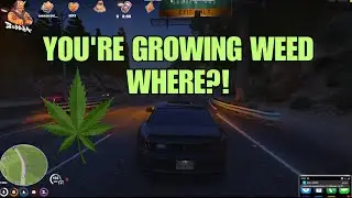 Lang Finds out the Speedy is Growing Weed at Jail | NoPixel 3.0