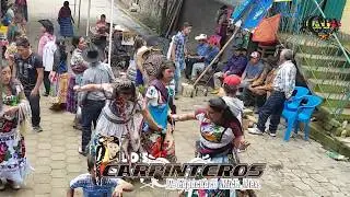 LOS CARPINTEROS DE CAPACUARO 
