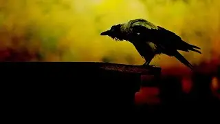 Entombed &ndash; Sealed in Blood | Original Extreme Thrash Metal Song
