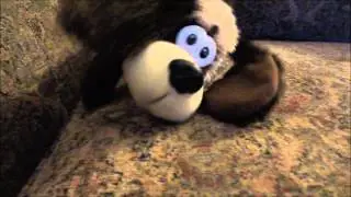 My New Pet, I think I'll call him LP! :)
