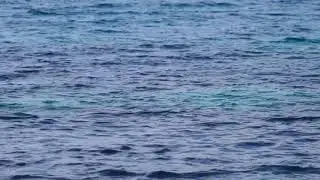 Silent Sea   Beauty of Nature   Creative Commons Videos   Free HD Videos   no copyright