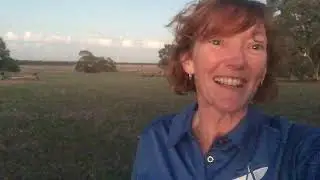 Backyard Stargazing with 