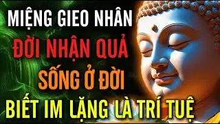 Miệng Gieo Nhân, Đời Nhận Quả - Sống Ở Đời Biết Im Lặng Là Trí Tuệ | MỘT ĐỜI AN NHIÊN