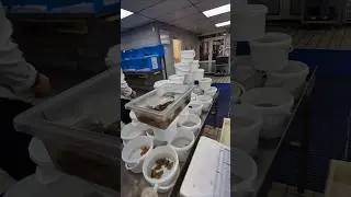 A Tropical Marine Centre, sediada no Reino Unido, &eacute; refer&ecirc;ncia europeia em controle de qualidade