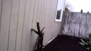 Home Inspector Seattle  LP Siding Inspection | (425) 207-3688 | CALL US!