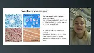 HV1 - Biologie voor Jou - 2.3: Weefsels
