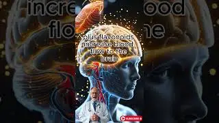 Top Neuroscientist Reveals BEST Foods to BOOST Memory for People Over 60