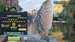 **HARRY HOTLIPS** 14 STAR BRAND-NEW MYTHICAL FISH 🦈🐳🌊 l FISHING CLASH GAMEPLAY 🎣