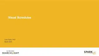 Visual Schedules