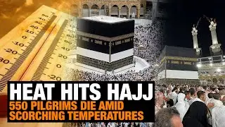 Tragedy at Hajj 2024: 550 Pilgrims Die Amid Scorching Temperatures | News9
